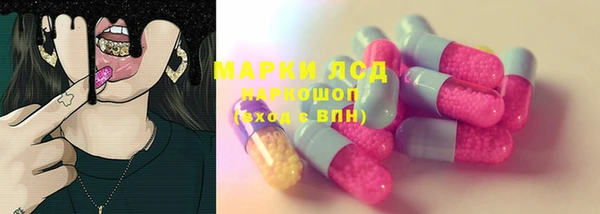 дживик Долгопрудный